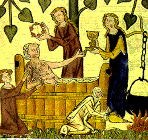 Course Image for Premodern Disease